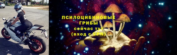 прущие грибы Верея