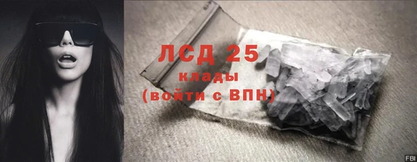 прущие грибы Верея