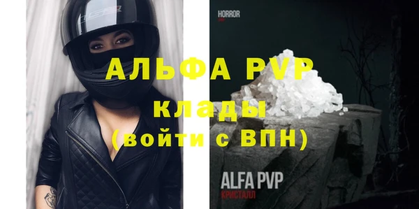 прущие грибы Верея
