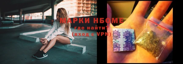 прущие грибы Верея