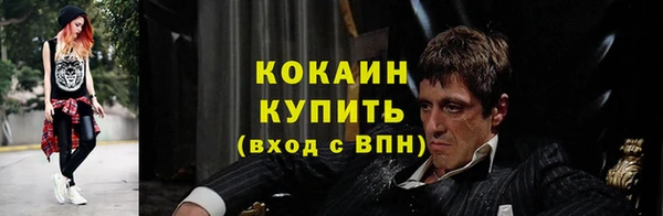 прущие грибы Верея