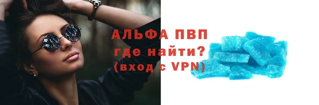 прущие грибы Верея